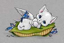 Cat Nap